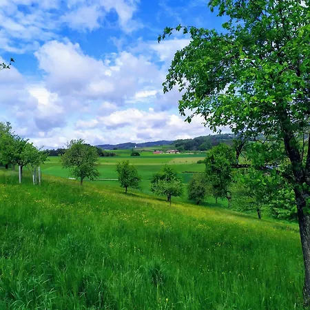 Ferienwohnung Apartament