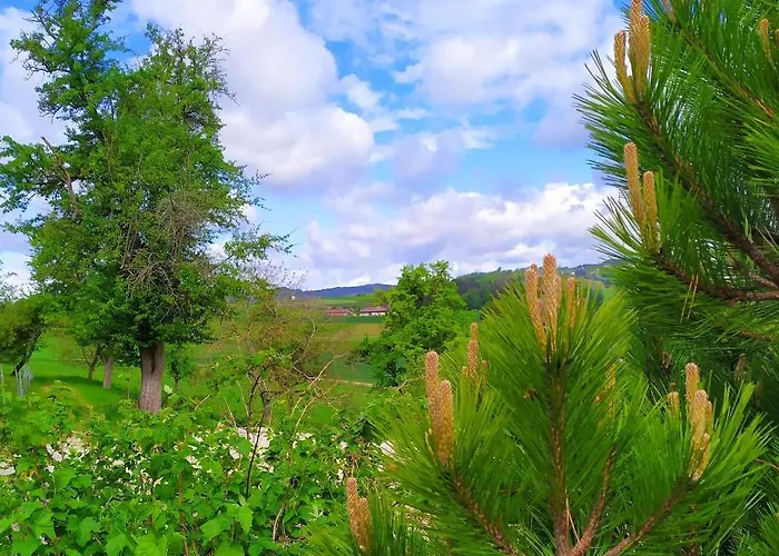 Ferienwohnung * Atzbach